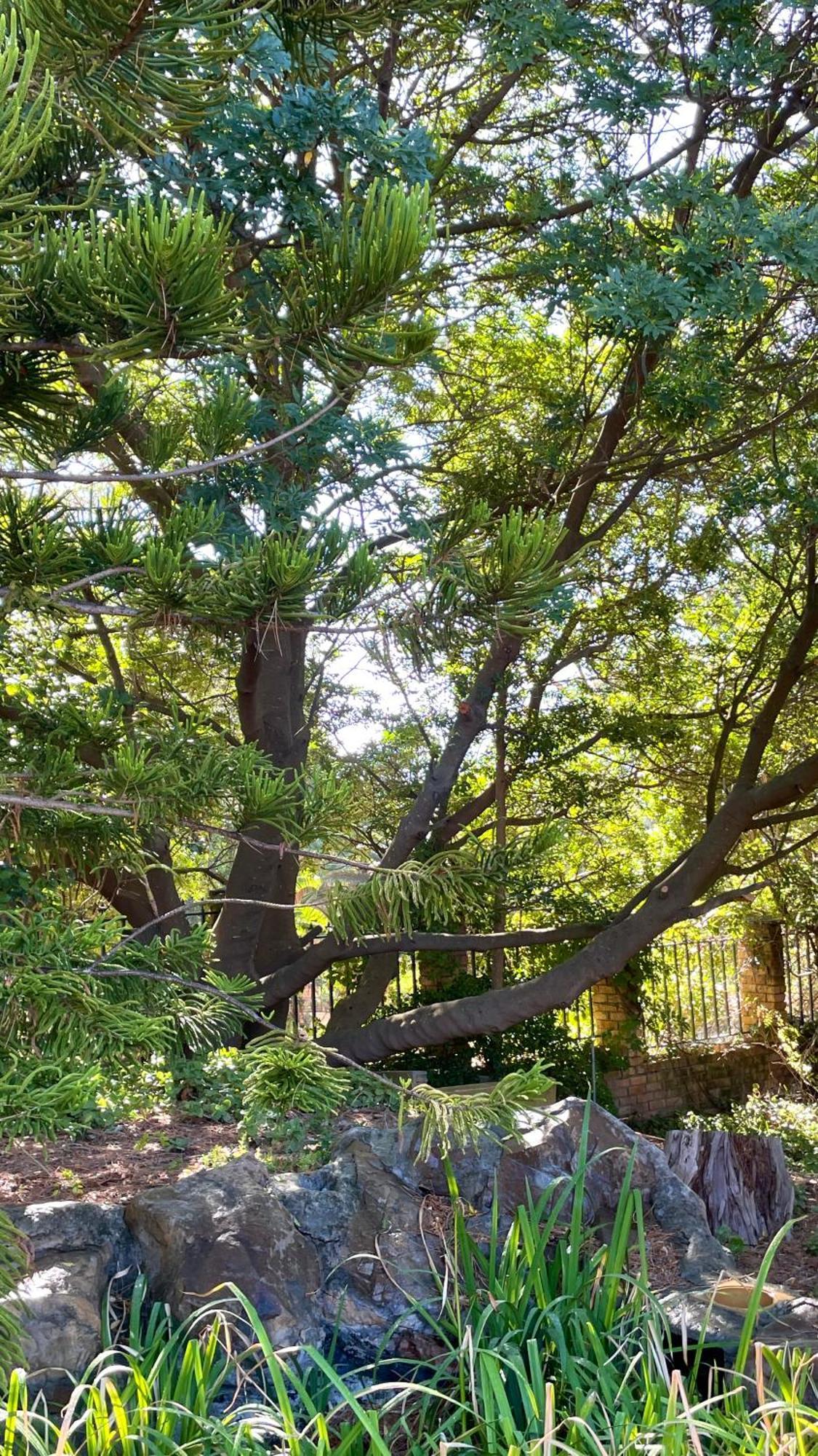 Unique Hout Bay House Villa Bagian luar foto
